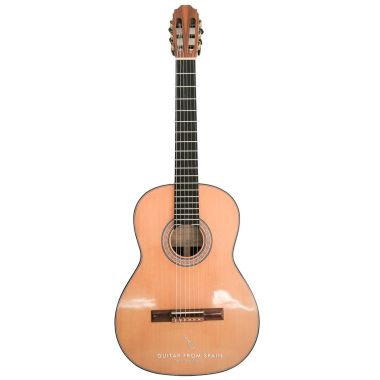 Francisco Gil Modelo 1 Guitare classique