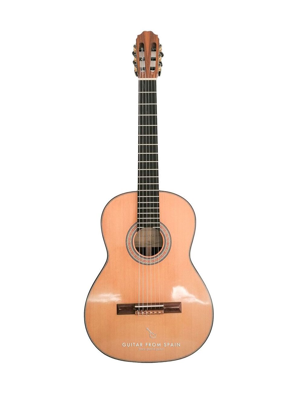 Francisco Gil Modelo 1 Guitare classique