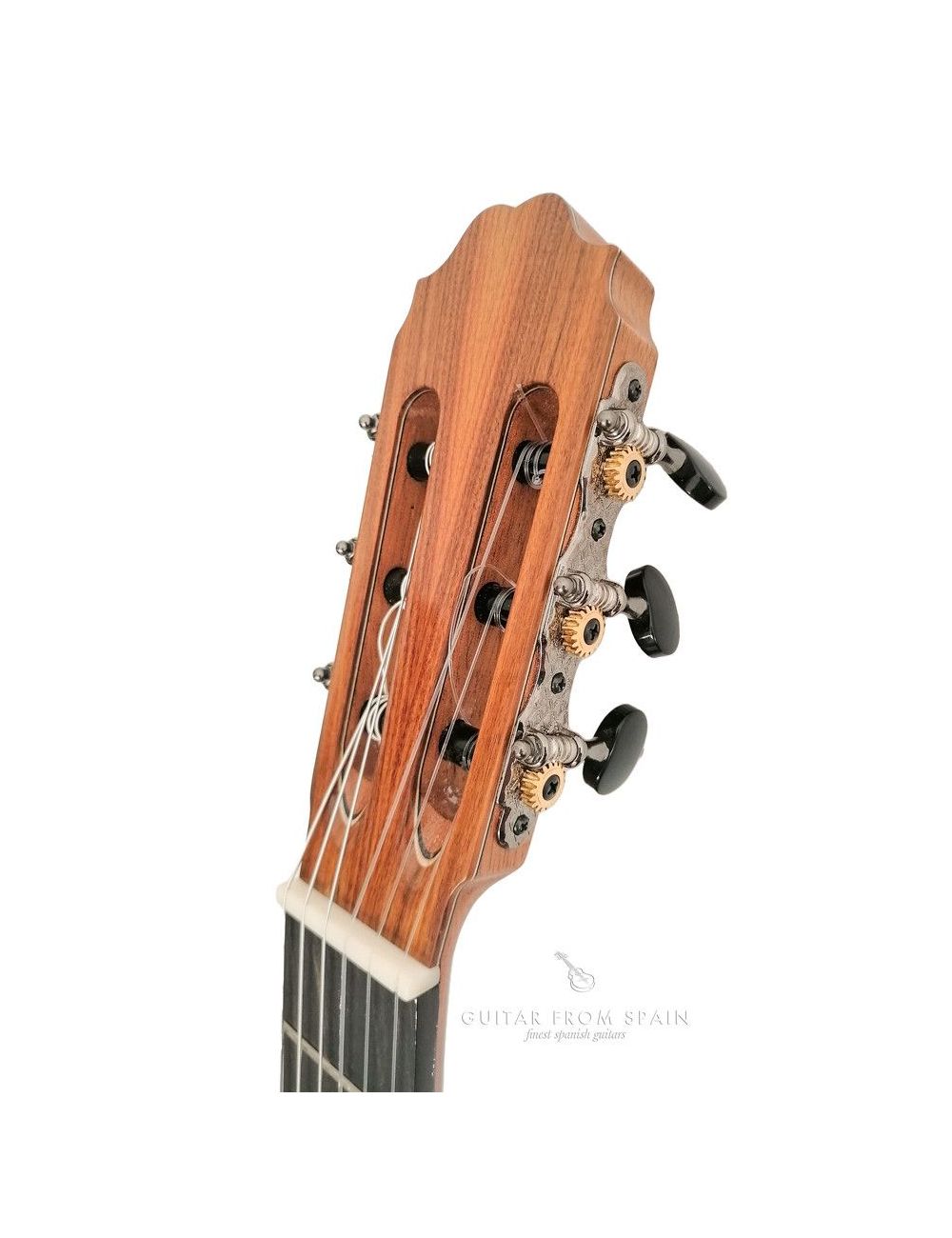 Francisco Gil Modelo 1 Classical guitar MODELO 1 Premium Classical
