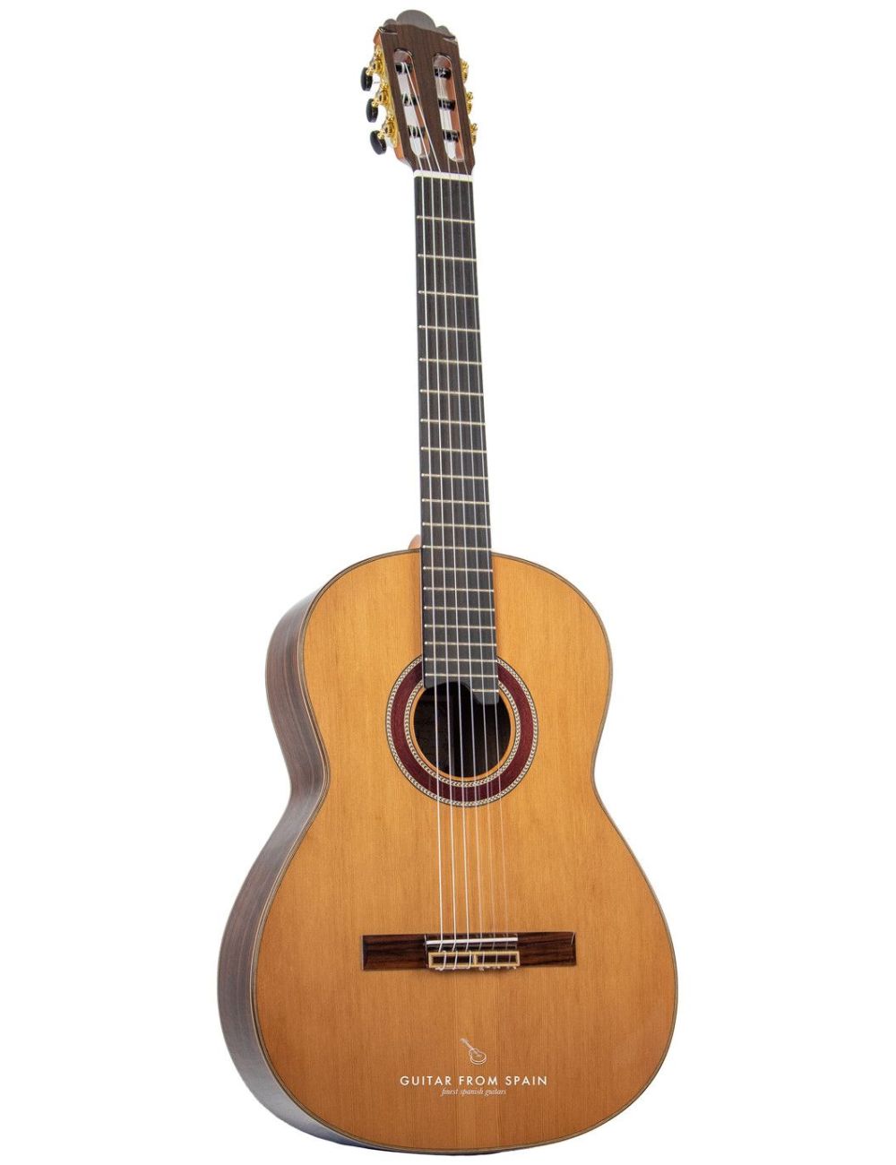 Prudencio Saez 1-PS (280) Guitare Classique