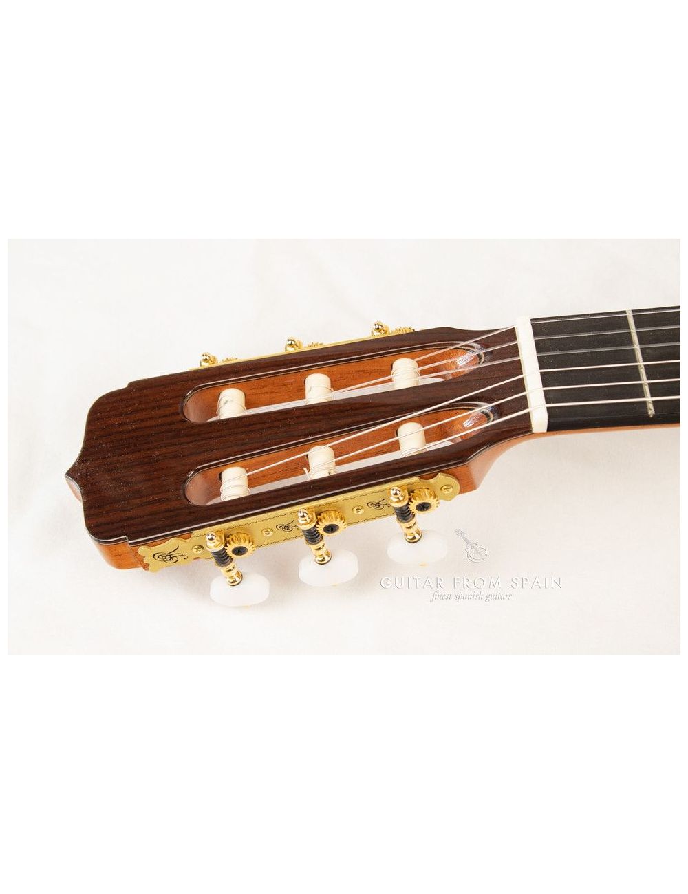 Ramirez CUT 2 Cutaway Classical guitar CUT 2 Cutaway Classical