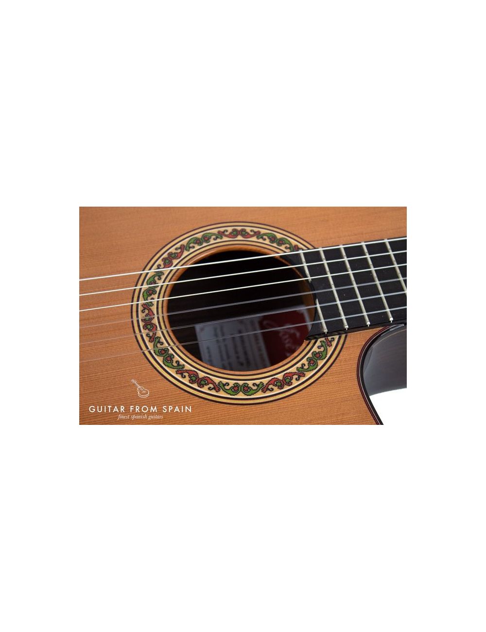 Ramirez CUT 2 Cutaway Classical guitar CUT 2 Cutaway Classical