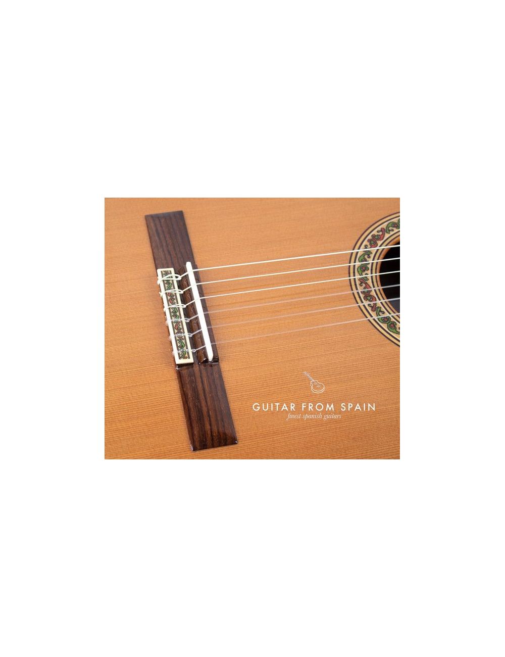 Ramirez CUT 2 Cutaway Classical guitar CUT 2 Cutaway Classical