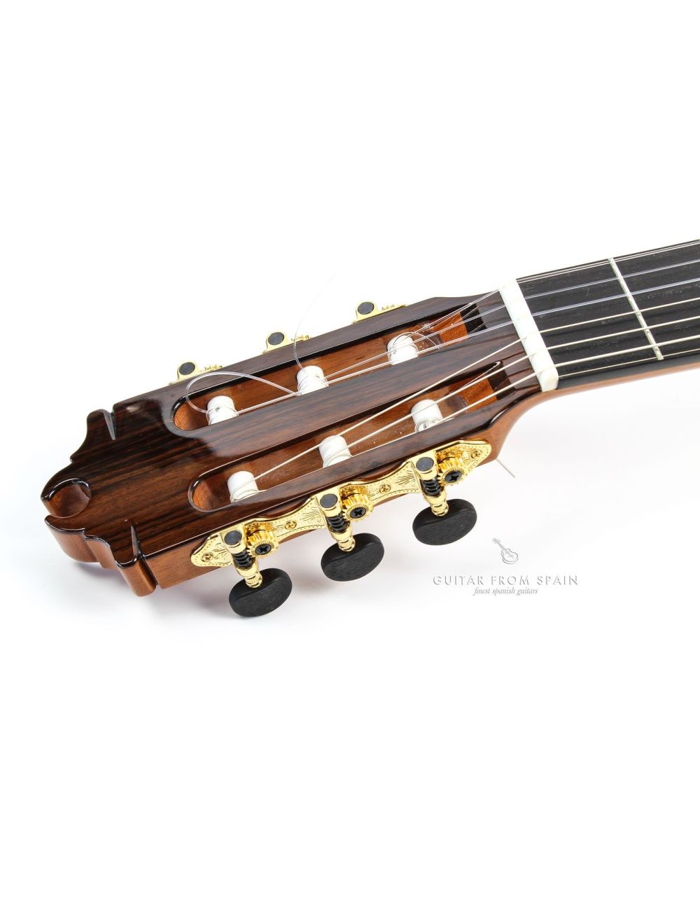 Camps GL18 Classical Guitar GL-18 Premium Classical