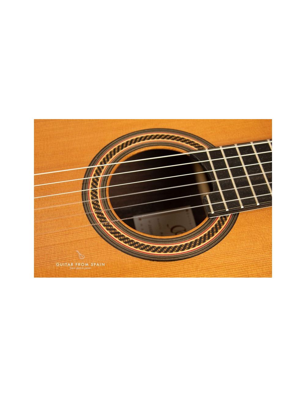 Camps M16 Classical guitar M-16 Premium Classical