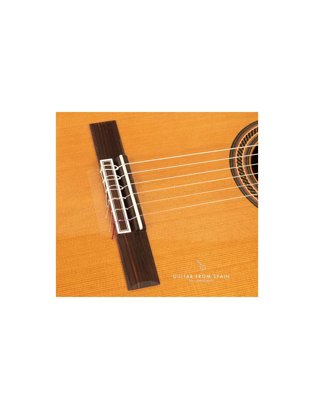 Camps M16 Classical guitar M-16 Premium Classical