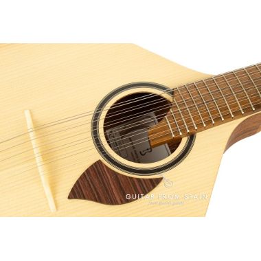 APC 305-LS guitare portugaise