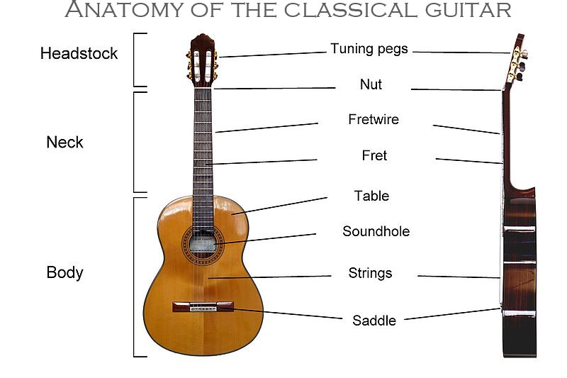 Brown classical guitar, Ukulele Twelve-string guitar Musical instrument,  Acoustic Classic Guitar, natural, guitar Accessory png | PNGEgg